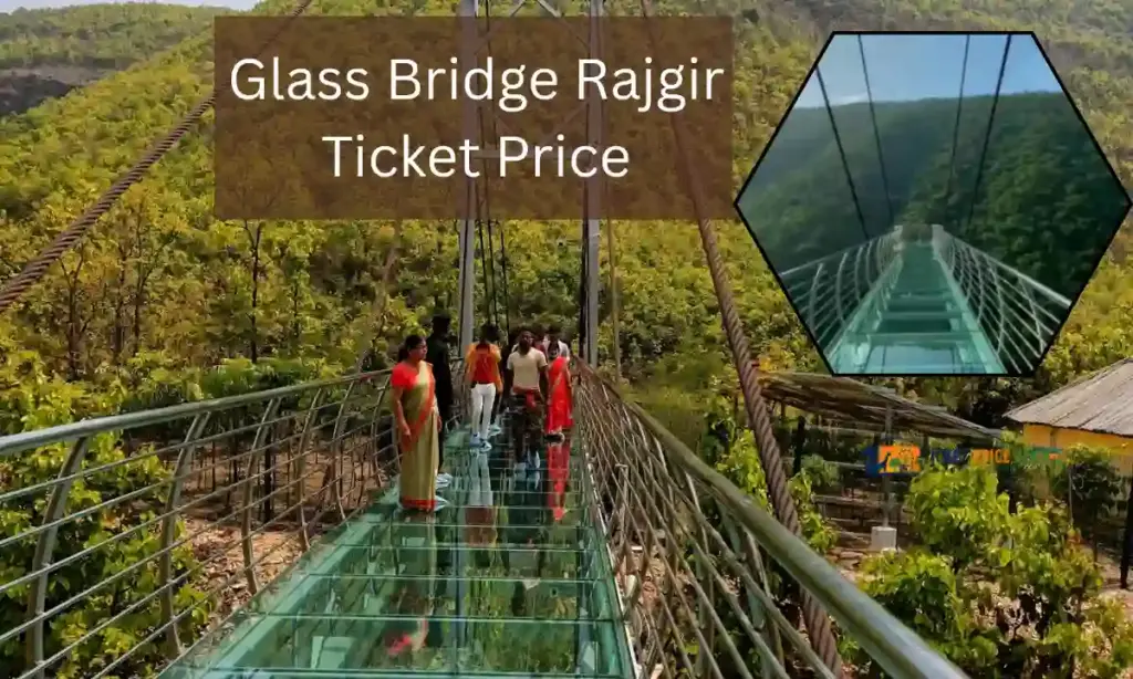 Glass Bridge Rajgir Ticket Price