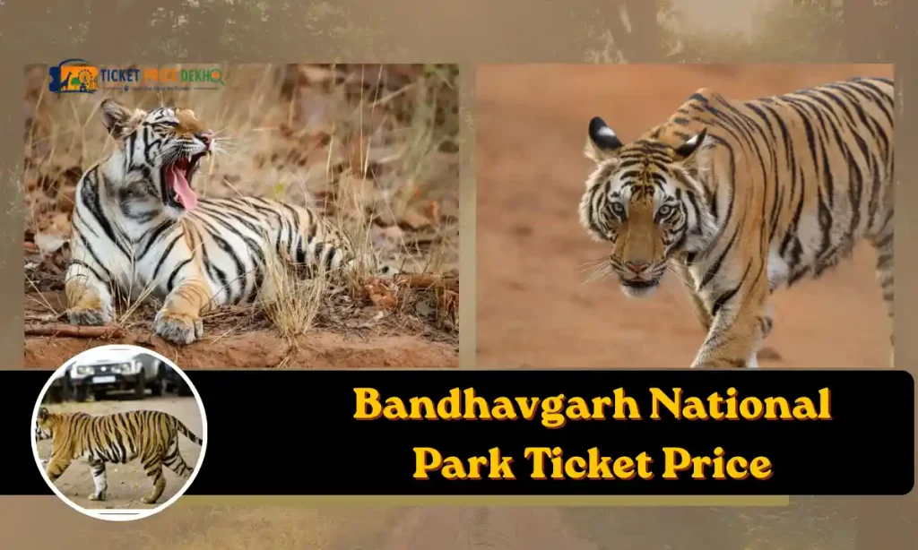 Bandhavgarh National Park Ticket Price