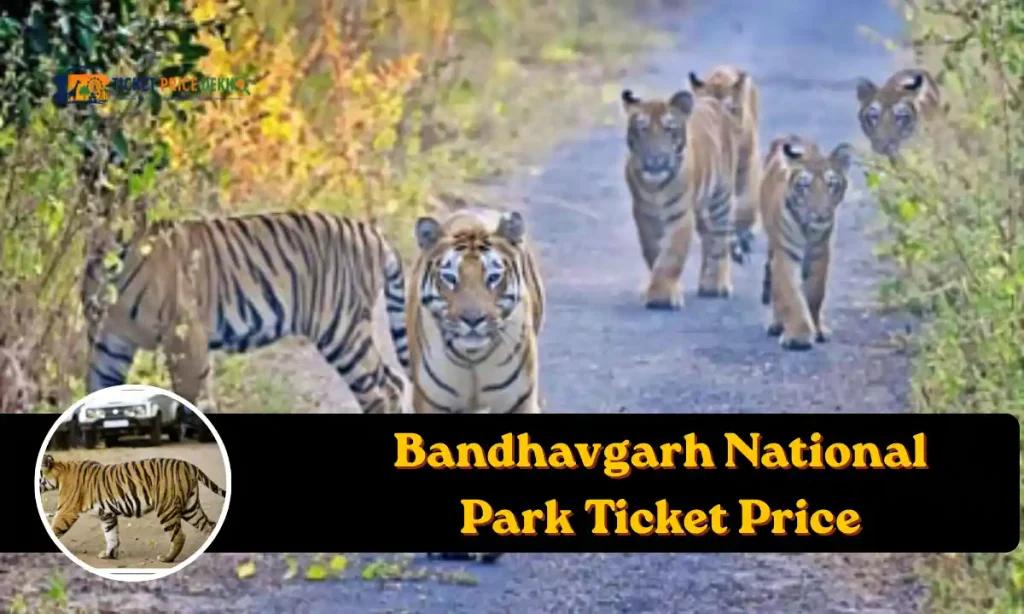 Bandhavgarh National Park Ticket Price
