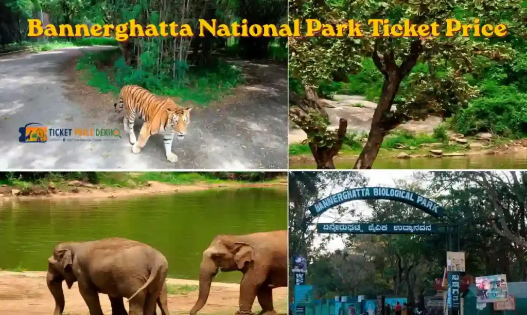 Bannerghatta National Park Ticket Price 