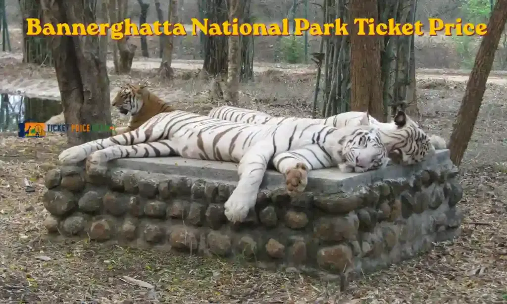 Bannerghatta National Park Ticket Price