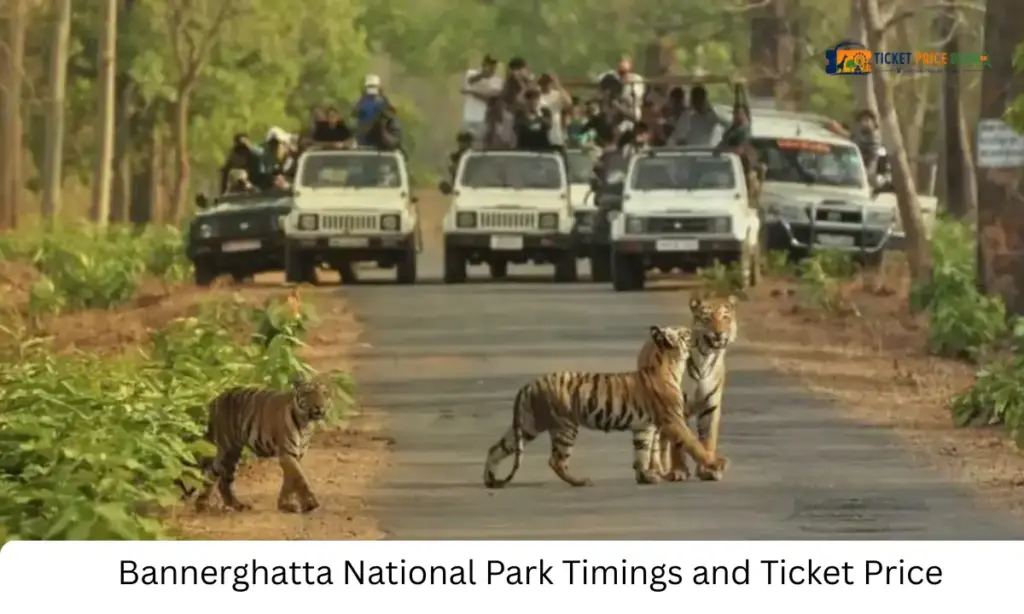 Bannerghatta National Park Timings and Ticket Price