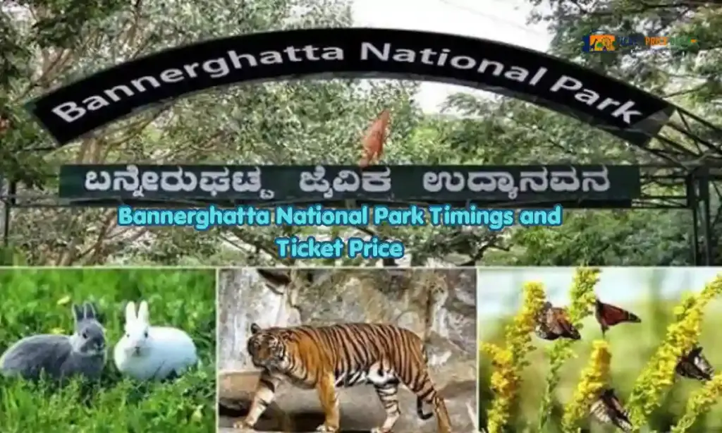 Bannerghatta National Park Timings and Ticket Price
