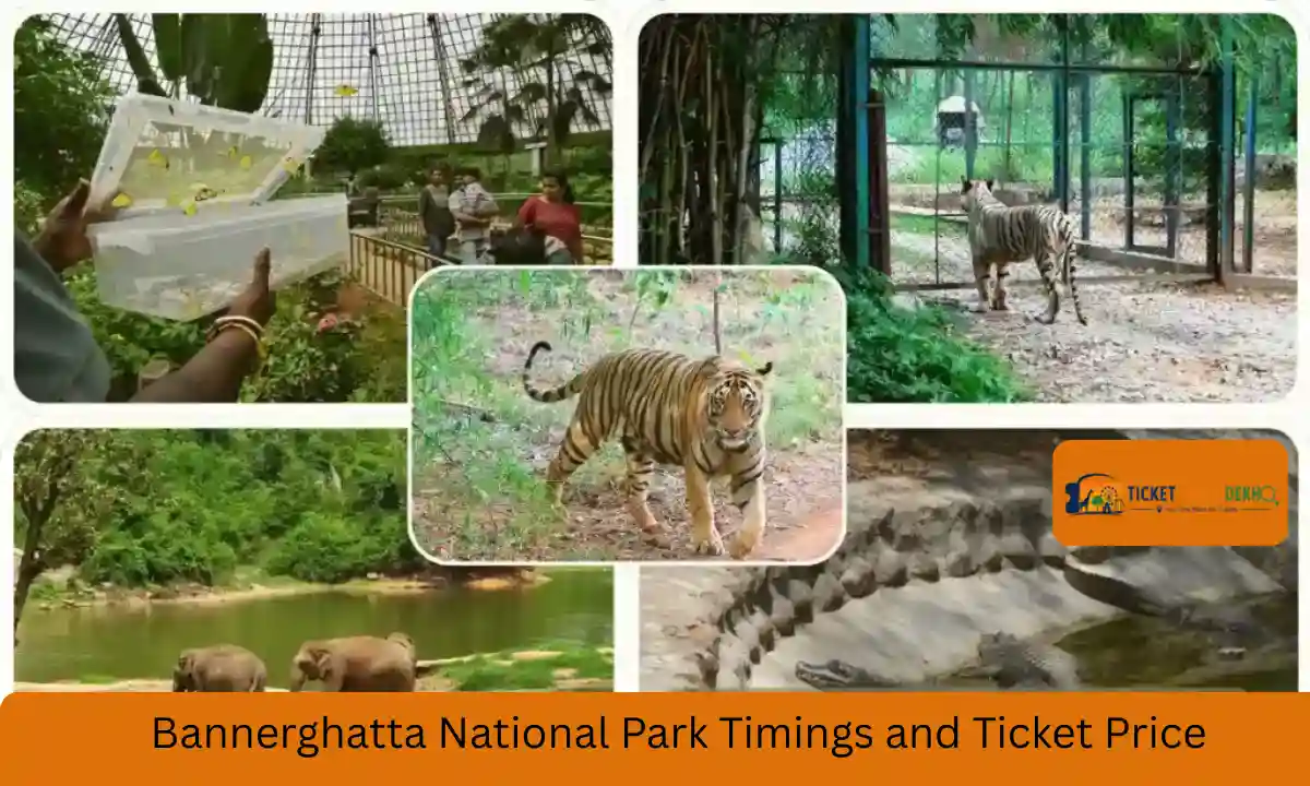 Bannerghatta National Park Timings and Ticket Price