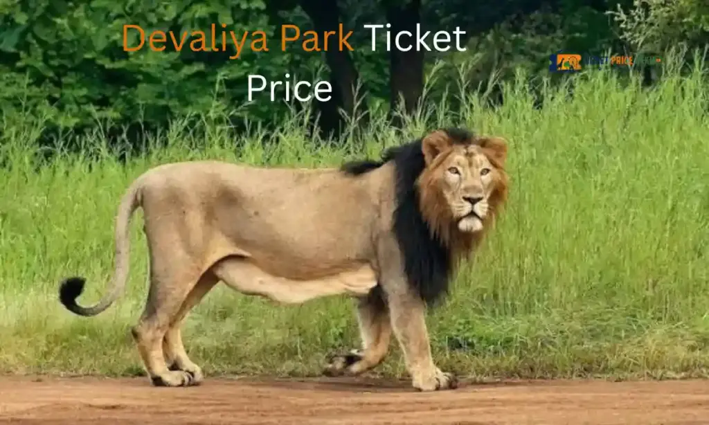 Devaliya Park Ticket Price