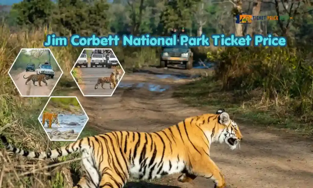 Jim Corbett National Park Ticket Price
