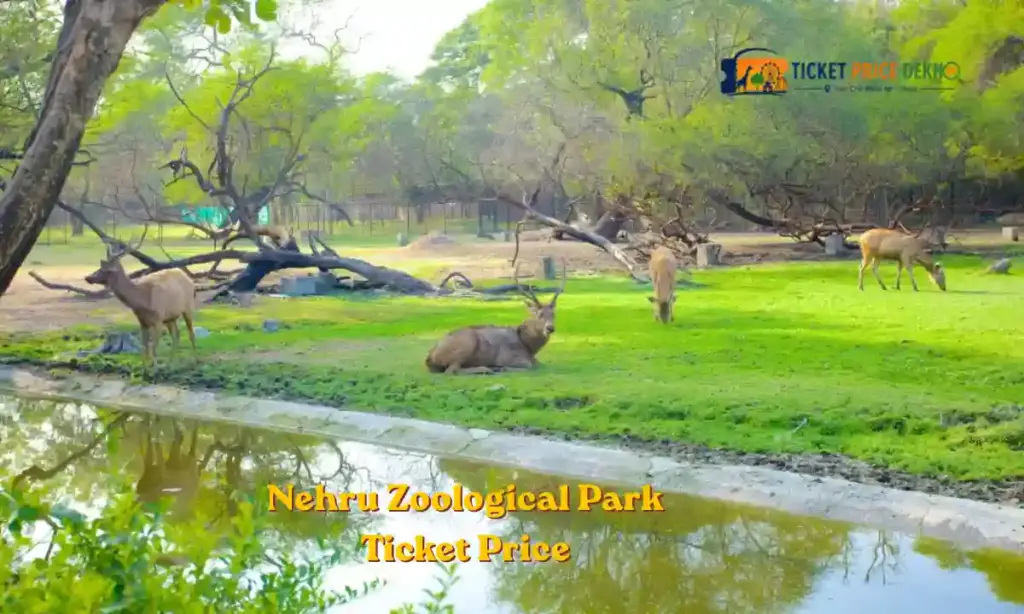 Nehru Zoological Park Ticket Price