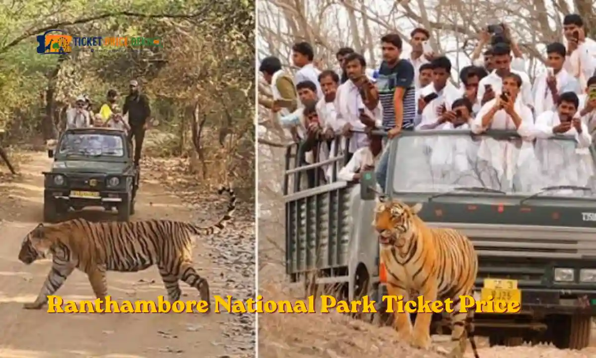 Ranthambore National Park Ticket Price