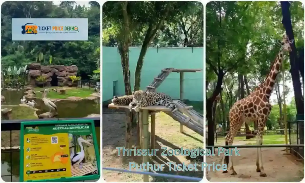 Thrissur Zoological Park Puthur Ticket Price