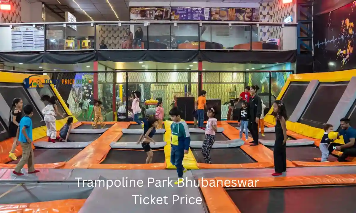 Trampoline Park Bhubaneswar Ticket Price