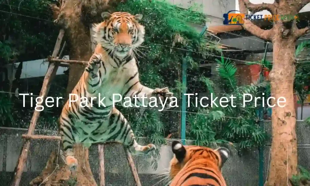 Tiger Park Pattaya Ticket Price 
