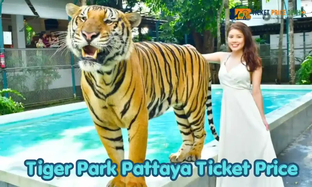 Tiger Park Pattaya Ticket Price