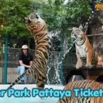 Tiger Park Pattaya Ticket Price
